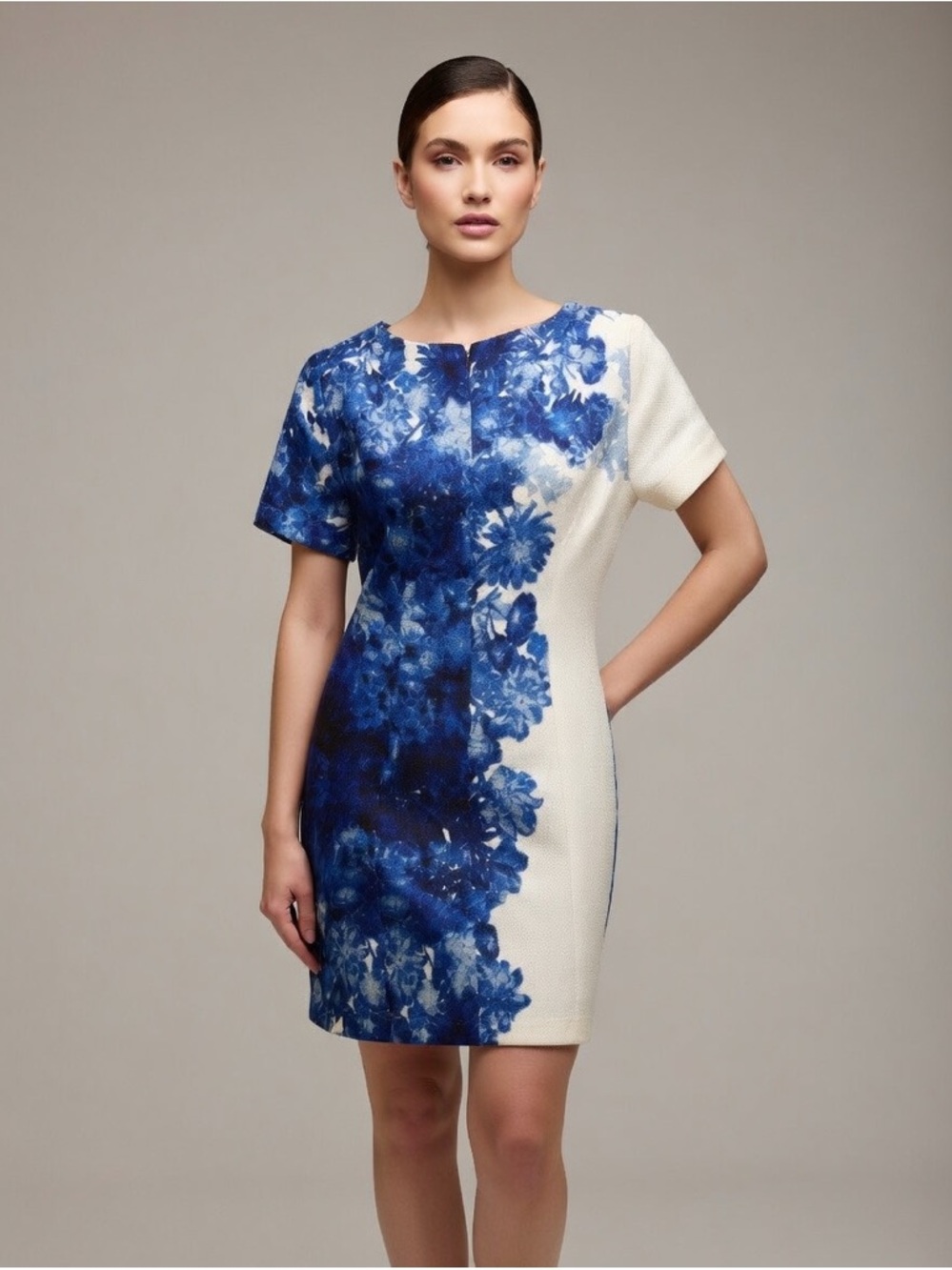 Adrianna Papell Blue Floral Shift Dress - White & Blue SIZE 8P (B5526)